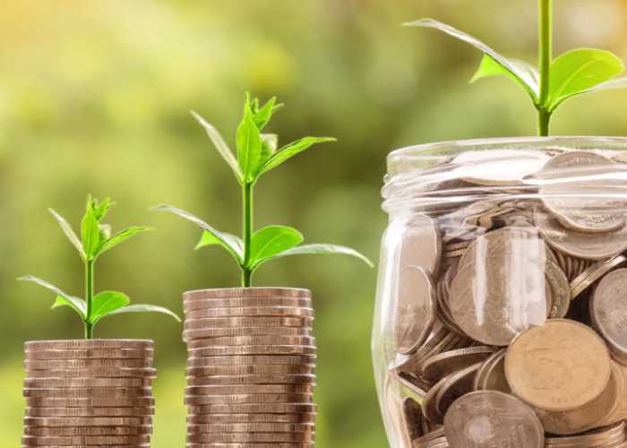 Savings and Investments